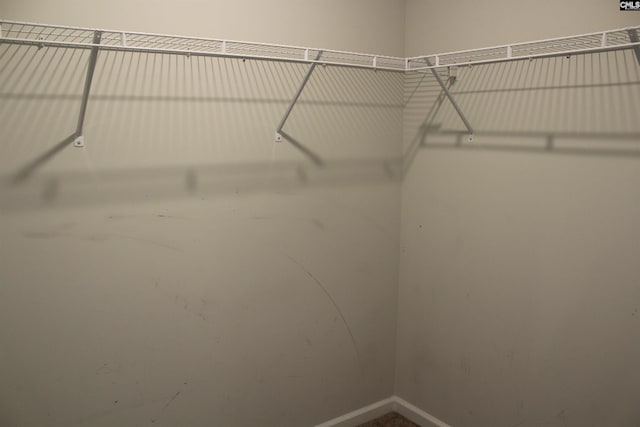 518 Cricket Chirp Ln, Elgin, SC 29045 - view of walk in closet