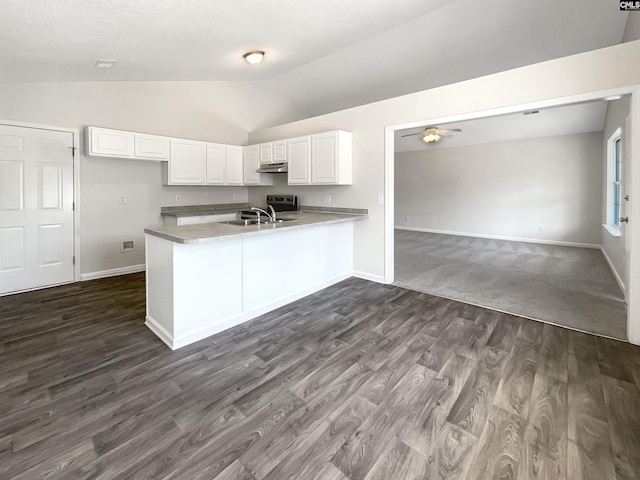 14 Long Glen Ct, Columbia, SC 29229 - kitchen featuring lofted ceiling, under cabinet range hood, baseboards, a peninsula, and ceiling fan