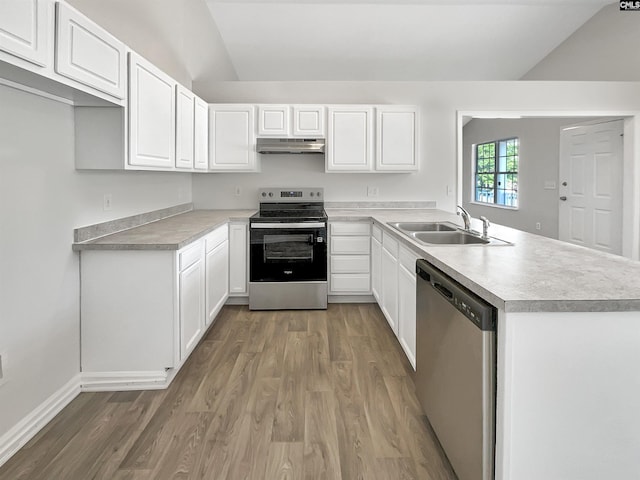 14 Long Glen Ct, Columbia, SC 29229 - kitchen featuring under cabinet range hood, appliances with stainless steel finishes, a sink, and light wood-style flooring