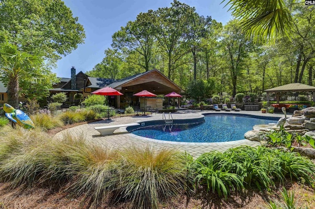 outdoor pool with a gazebo, a patio, and a diving board