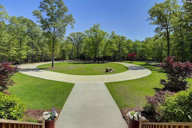 surrounding community with a lawn