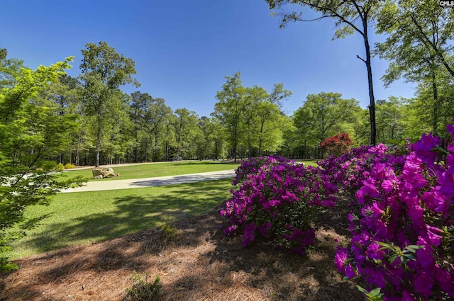 view of property's community featuring a view of trees and a lawn