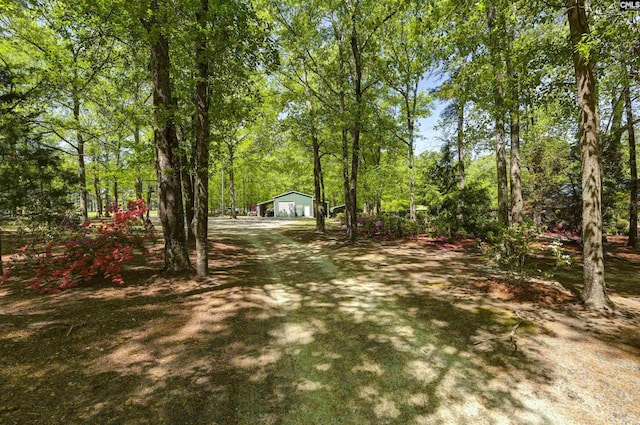 view of yard featuring driveway