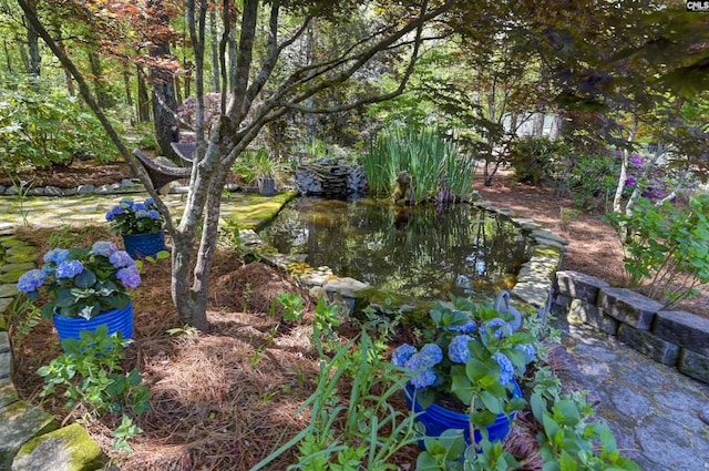 view of landscape with a garden pond