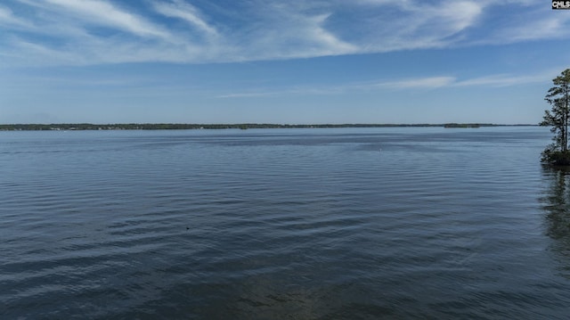 1305 Rock Island Rd, Gilbert, SC 29054 - property view of water