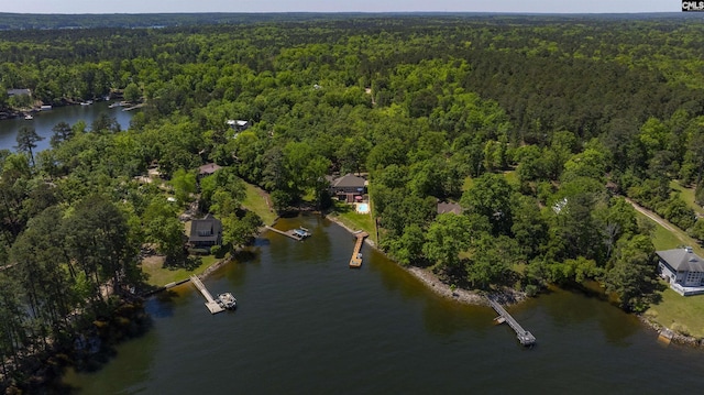 1305 Rock Island Rd, Gilbert, SC 29054 - bird's eye view featuring a wooded view and a water view