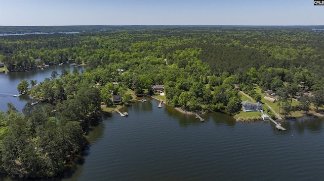 1305 Rock Island Rd, Gilbert, SC 29054 - aerial view with a view of trees and a water view