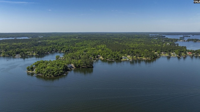 1305 Rock Island Rd, Gilbert, SC 29054 - view of water feature featuring a forest view