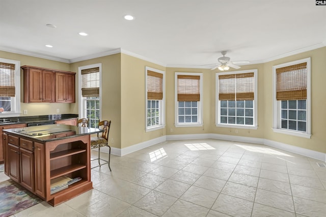 kitchen with crown molding, open shelves, and plenty of natural light