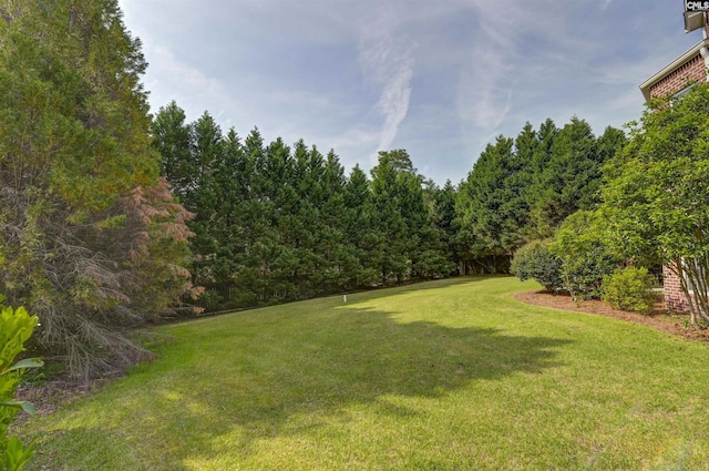 view of yard featuring a view of trees