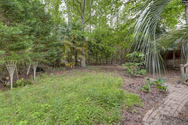 2310 Priceville Rd, Gilbert, SC 29054 - view of yard