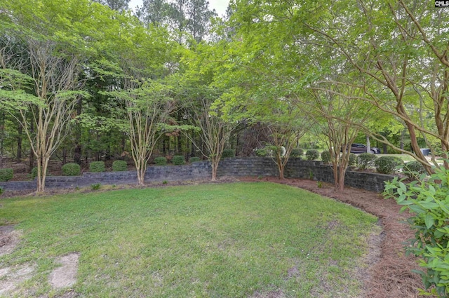 2310 Priceville Rd, Gilbert, SC 29054 - view of yard with fence