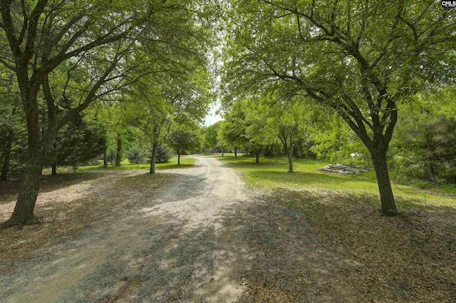 2310 Priceville Rd, Gilbert, SC 29054 - view of street