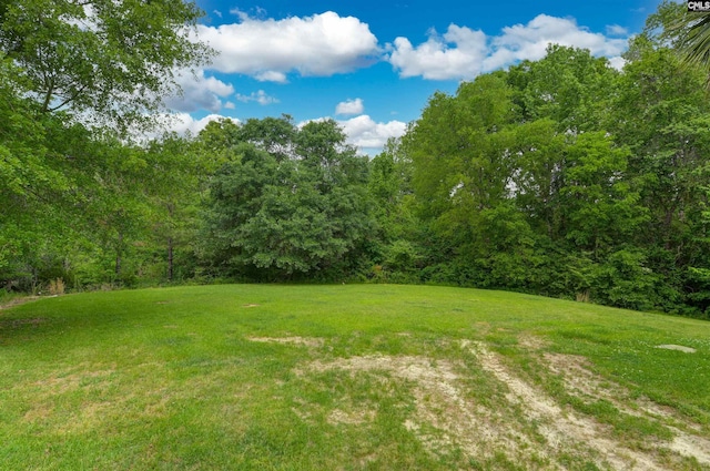 2310 Priceville Rd, Gilbert, SC 29054 - view of yard with a view of trees