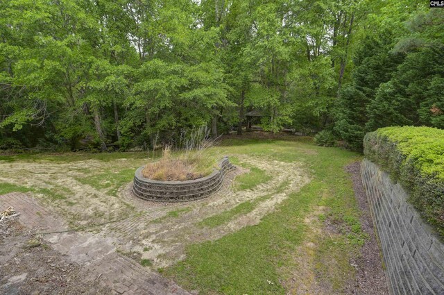 2310 Priceville Rd, Gilbert, SC 29054 - view of yard