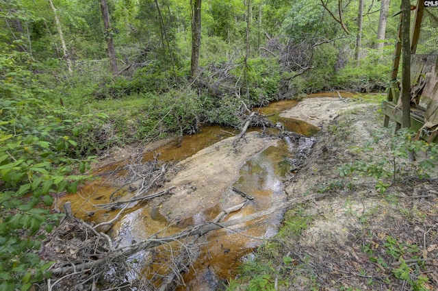 2310 Priceville Rd, Gilbert, SC 29054 - view of local wilderness