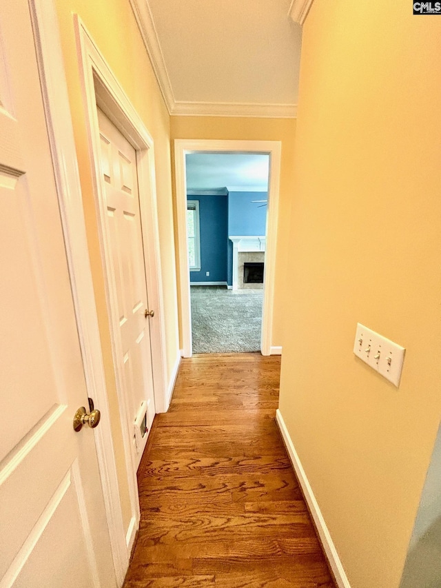 hall featuring wood finished floors, baseboards, and ornamental molding