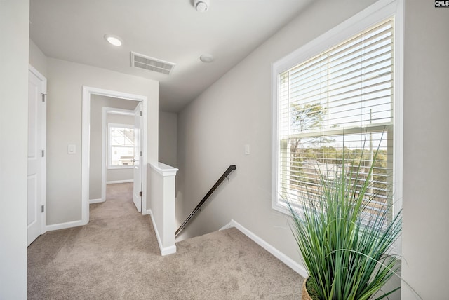 227 Carillo Dr, Columbia, SC 29223 - hallway with baseboards, an upstairs landing, visible vents, and carpet