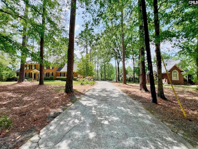 110 Columbia Club Dr, Blythewood, SC 29016 - view of concrete surface