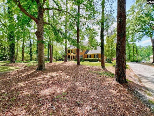 110 Columbia Club Dr, Blythewood, SC 29016 - view of yard
