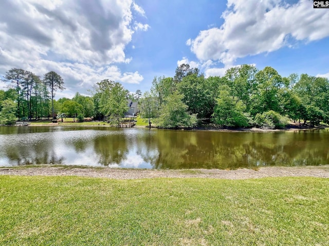 110 Columbia Club Dr, Blythewood, SC 29016 - water view