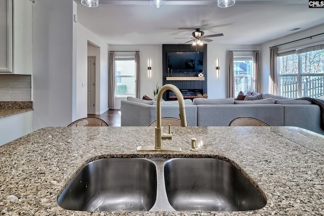 207 Ashewicke Dr, Columbia, SC 29229 - kitchen with plenty of natural light, ceiling fan, a sink, and stone counters