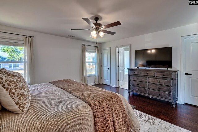 207 Ashewicke Dr, Columbia, SC 29229 - bedroom with multiple windows, visible vents, ceiling fan, and dark wood finished floors