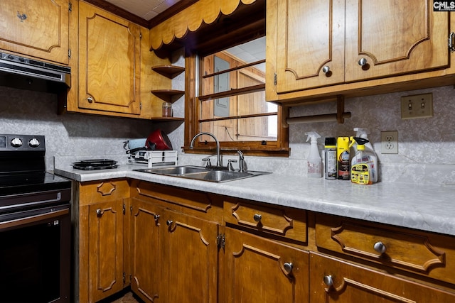 1742 Orrs Station Rd, Chester, SC 29706 - kitchen with ventilation hood, backsplash, a sink, brown cabinetry, and electric range