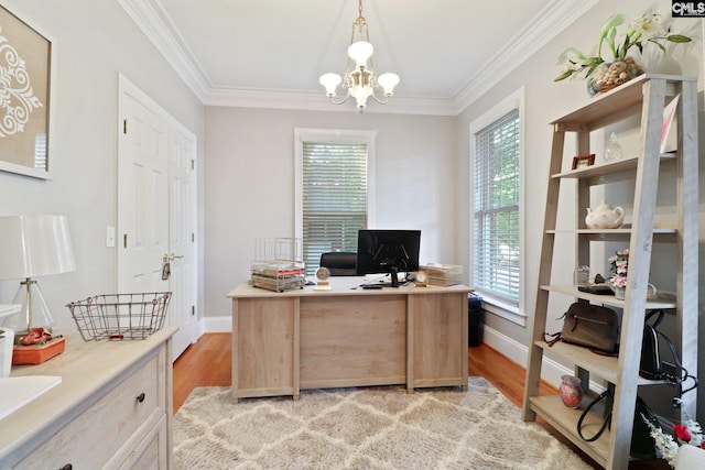 6 Sienna Ct, Chapin, SC 29036 - office with baseboards, crown molding, a chandelier, and light wood-style floors