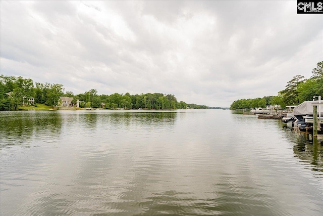 143 Indian Cove Rd, Chapin, SC 29036 - view of water feature with a dock