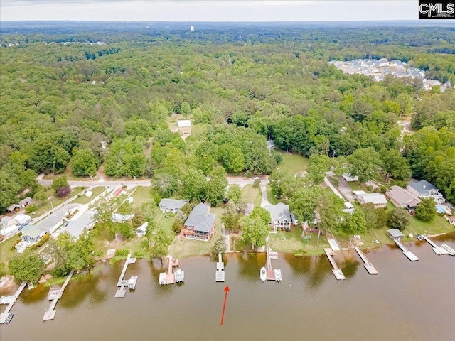 143 Indian Cove Rd, Chapin, SC 29036 - drone / aerial view with a forest view and a water view