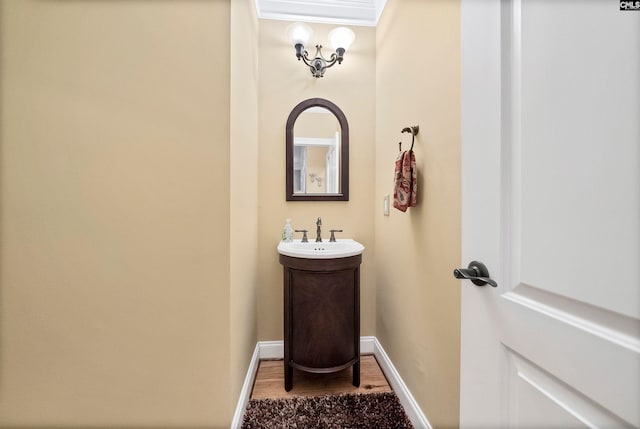 1437 Heins Rd, Blythewood, SC 29016 - bathroom with baseboards, wood finished floors, ornamental molding, and vanity