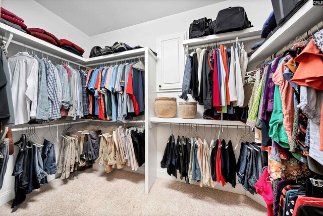 1437 Heins Rd, Blythewood, SC 29016 - walk in closet with carpet