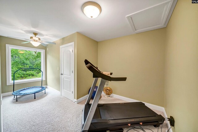 1437 Heins Rd, Blythewood, SC 29016 - exercise area featuring baseboards, attic access, a ceiling fan, and carpet floors