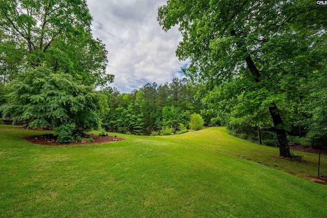 1437 Heins Rd, Blythewood, SC 29016 - view of yard