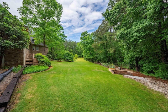 1437 Heins Rd, Blythewood, SC 29016 - view of yard