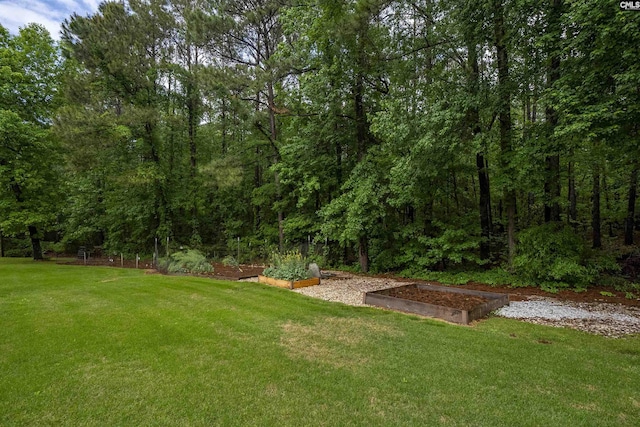 1437 Heins Rd, Blythewood, SC 29016 - view of yard with a garden