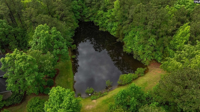 1437 Heins Rd, Blythewood, SC 29016 - bird's eye view featuring a water view