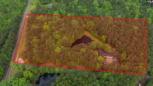 1437 Heins Rd, Blythewood, SC 29016 - aerial view with a forest view and a water view