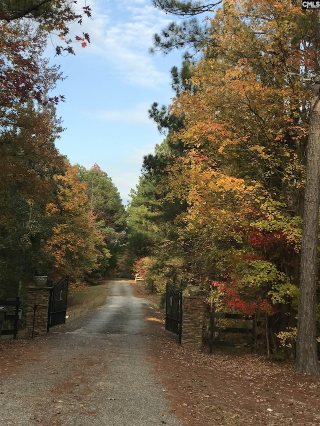 1437 Heins Rd, Blythewood, SC 29016 - view of street with driveway, a gated entry, and a forest view