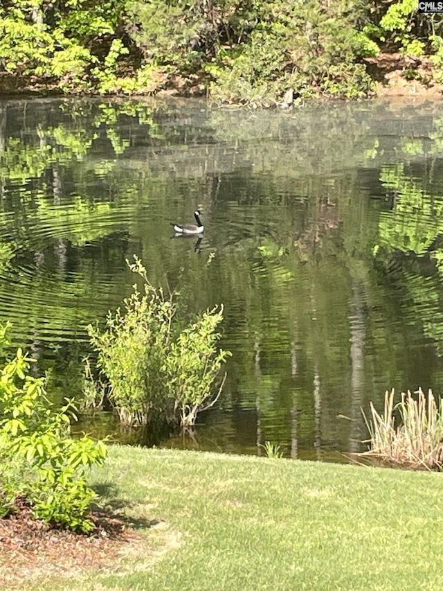 1437 Heins Rd, Blythewood, SC 29016 - view of nature