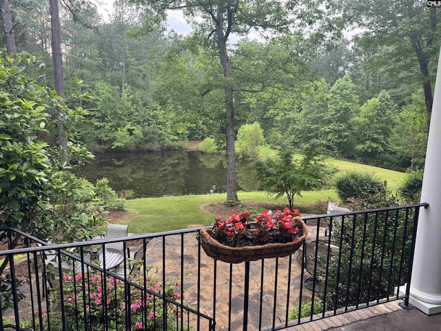 1437 Heins Rd, Blythewood, SC 29016 - view of yard