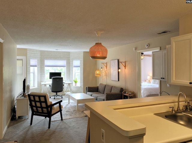 900 Taylor St Unit 304, Columbia, SC 29201 - living area with visible vents, light carpet, and a textured ceiling