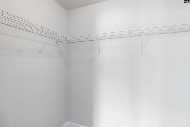 view of spacious closet