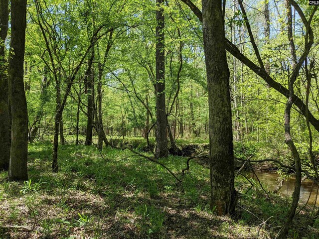 Old Hillcrest School Rd, Winnsboro, SC 29180