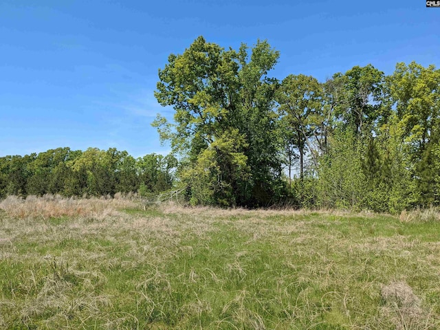 Old Hillcrest School Rd, Winnsboro, SC 29180