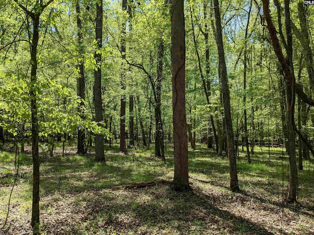 Old Hillcrest School Rd, Winnsboro, SC 29180