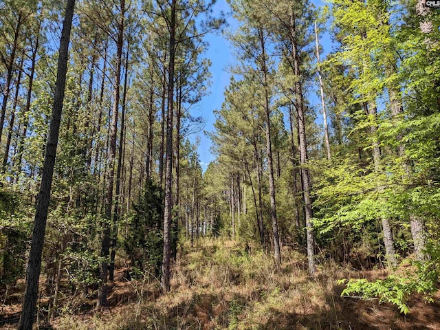 Old Hillcrest School Rd, Winnsboro, SC 29180