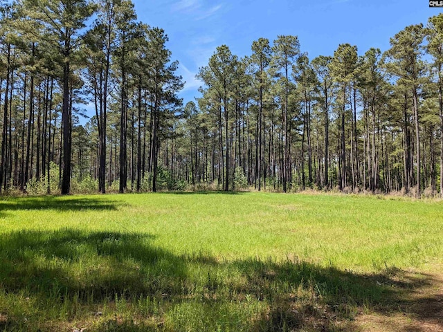 Old Hillcrest School Rd, Winnsboro, SC 29180