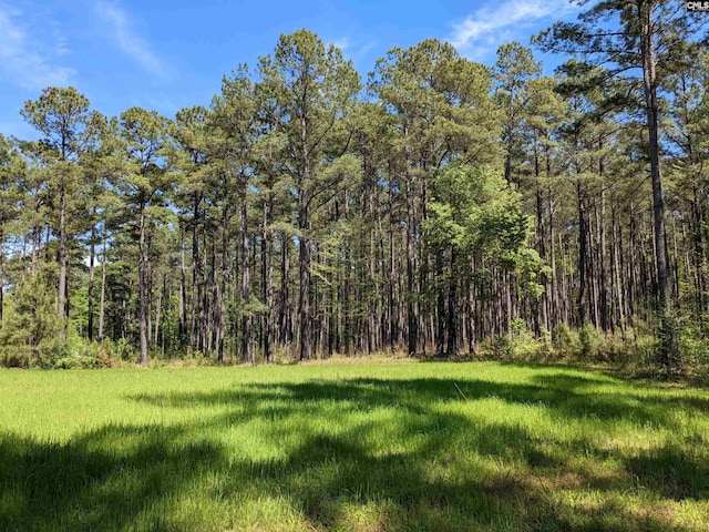 Old Hillcrest School Rd, Winnsboro, SC 29180